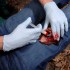 Аппликатор гемостатический с гранулами Rhino Rescue в Калининграде хитозановый